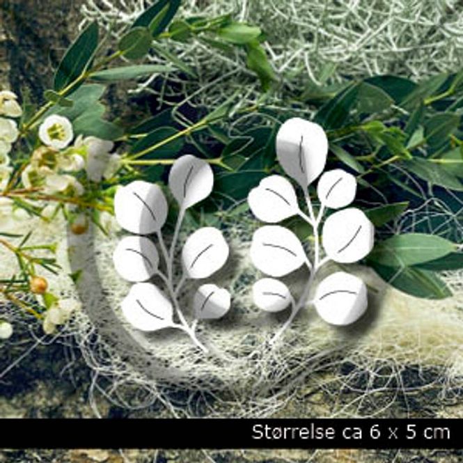Hovedbilde Papirdesign -EUCALYPTUS